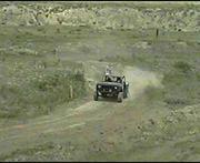 pic31