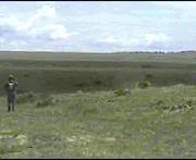 384Kbps (hi-res) MPEG Videos