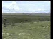 Mountaineer Mark Shepard's Obstacle Run - 4.5MB