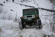 IMG_7195.jpg