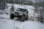 IMG_7203_003.jpg
