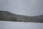 IMG_7315.jpg
