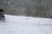 IMG_7340_001.jpg