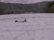 PICT0037