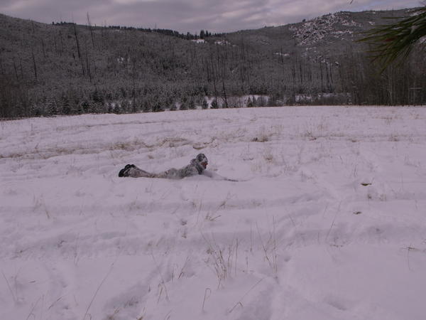 PICT0037