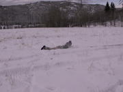 PICT0038