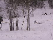 PICT0047