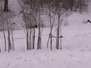 PICT0048