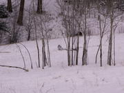 PICT0049