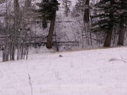 PICT0052