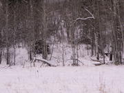 PICT0054