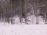 PICT0057