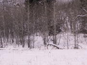 PICT0059