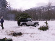PICT0061