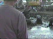 mudbog44