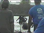 mudbog48