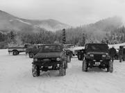 mount-tree-run-20030003