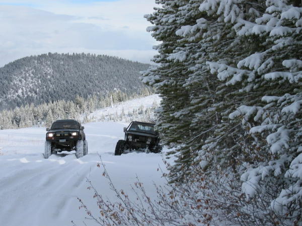 mount-tree-run-20030004