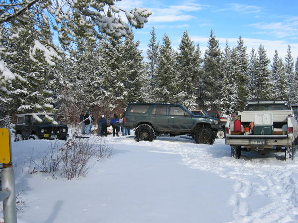 mount-tree-run-20030007