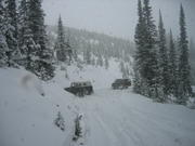 mount-tree-run-20030012