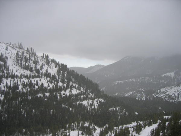 MISC-0050