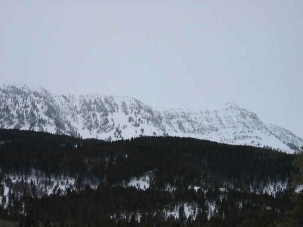 MISC-0006