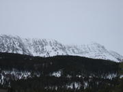Olson Creek 01/01/04