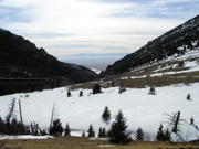 Flathead 3212004 013