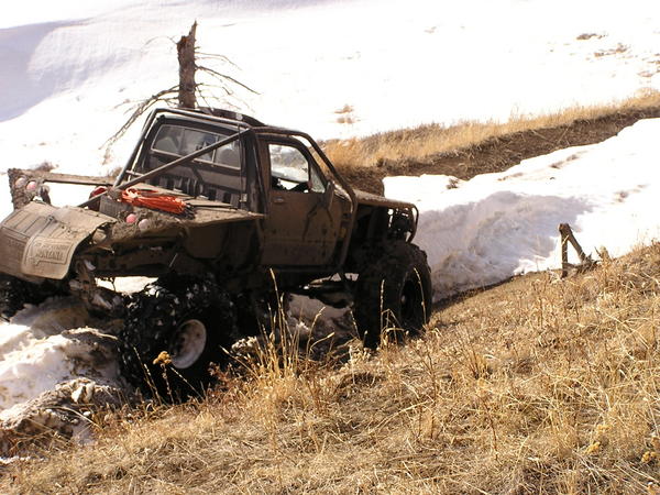 Flathead 3212004 017