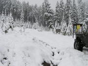 North Meadow 5 23 2004 004