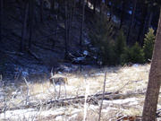 PC120047.jpg