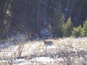 PC120048.jpg