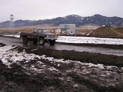 Feb 2005 Ice Bog 007
