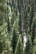 IMG_3500.JPG