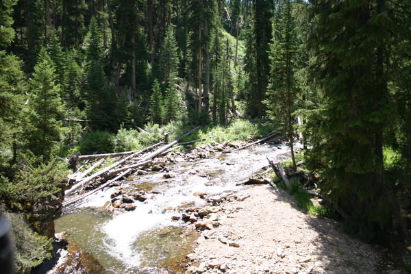IMG_3504.JPG