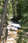 IMG_3513.JPG