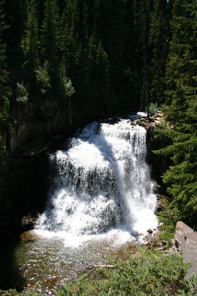 IMG_3516.JPG