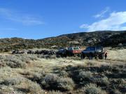 Pryor Mountains, Jan. 14 2006