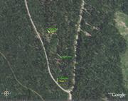 Blacktail - WildBill - Upper Dayton Trailhead obstacle placement
