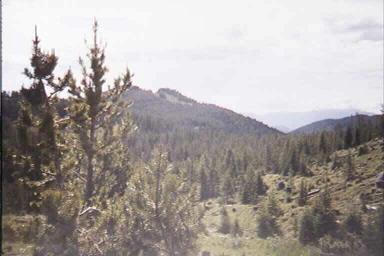 lava_view