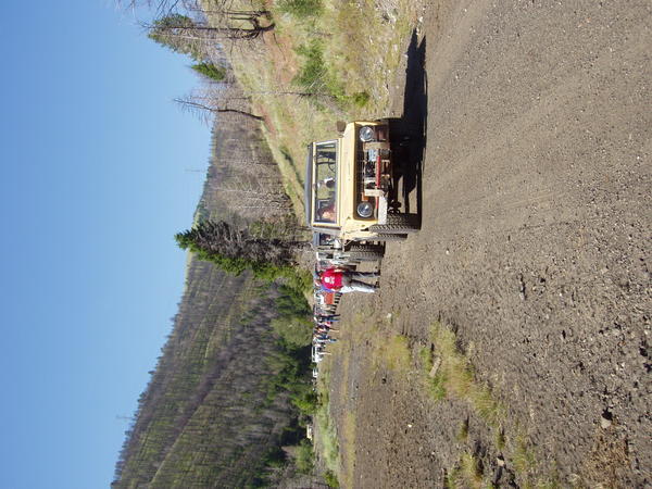 Picture 064