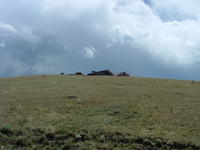 Dscf0130