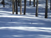 2007_0224stuby1run0009