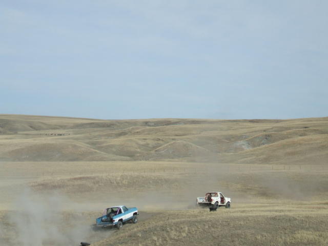 2007_0317baja20070038