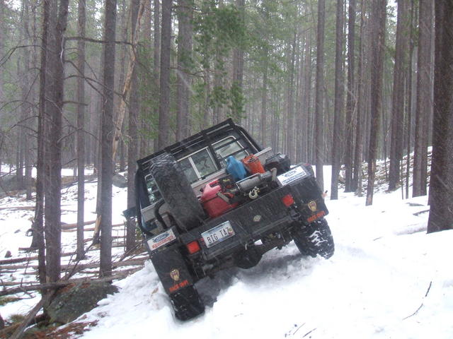 2007_0411stubycage0001