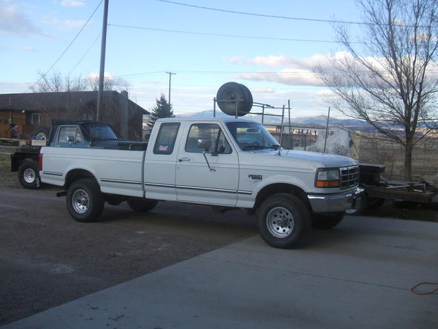 2007_0411stubycage0007