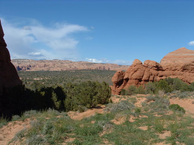 DSCF0138