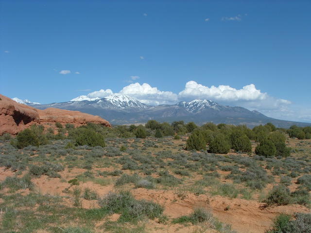 DSCF0139