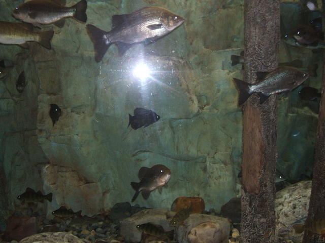 DSCF0361