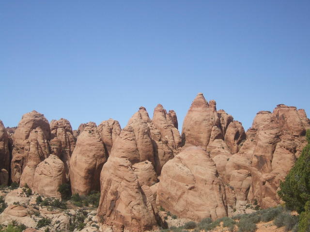 DSCF0544